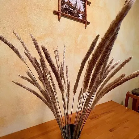 Guest house Stone Shengjin Sakes